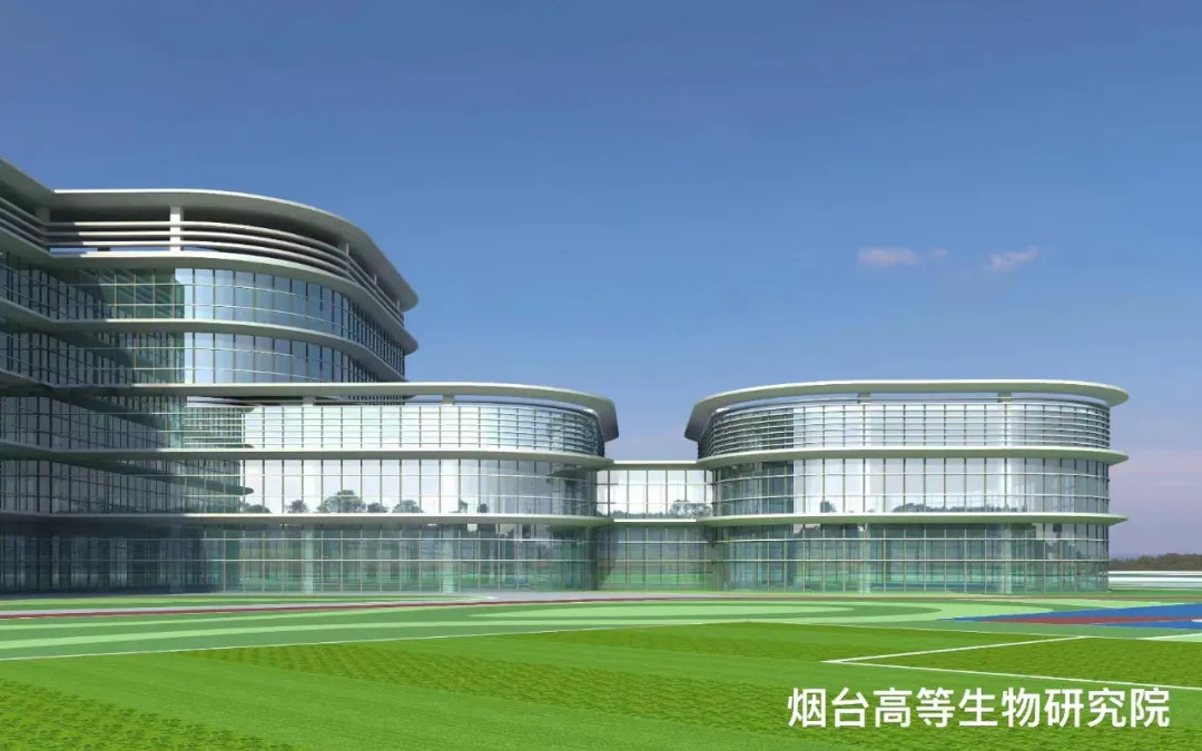 大跨度 高精度 超節(jié)能|鳳鋁助力煙臺(tái)城市更新，展登州新貌
